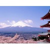 Japanese