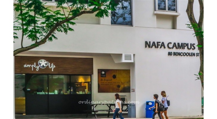 Nanyang Academy of Fine Arts Scholarship 