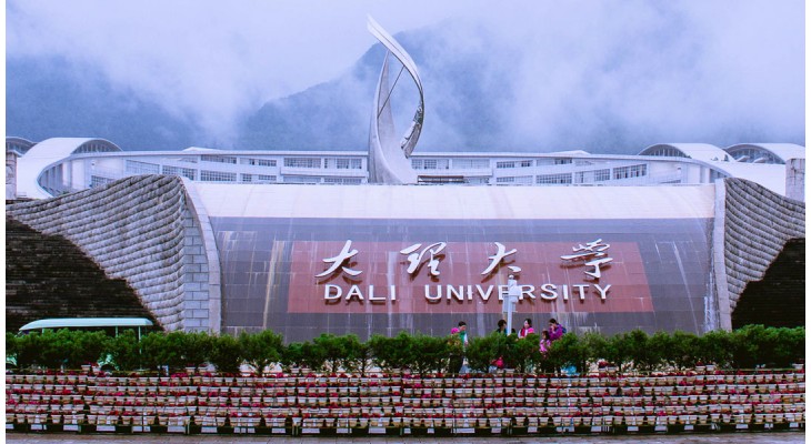 Dali University Scholarship